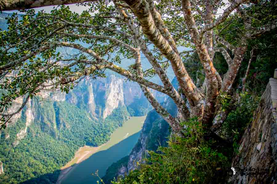 Cañón del Sumidero view from top Mexico backpacking itinerary